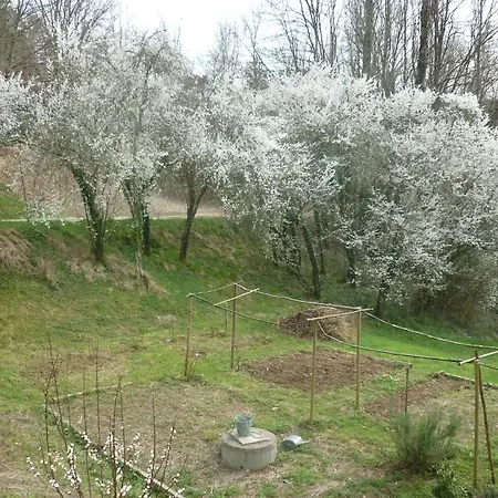 Oda ve Kahvaltı Maison D'hotes Bechanou *